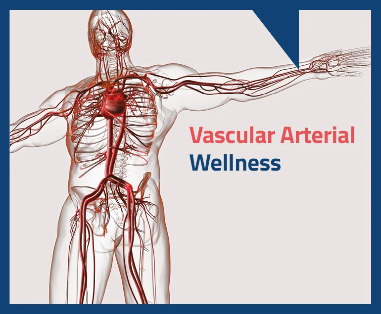 Vascular-Arterial-Wellness